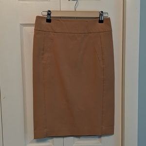 Ann Taylor Pencil Skirt